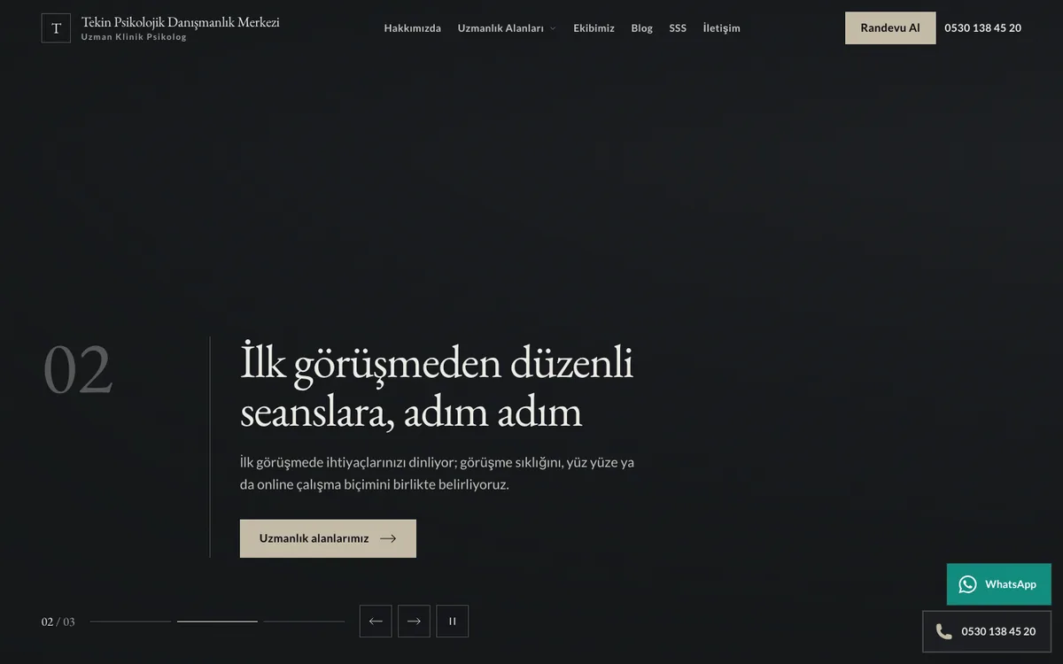 Kurşun teması: örnek danışmanlık merkezi sitesinin ana sayfası