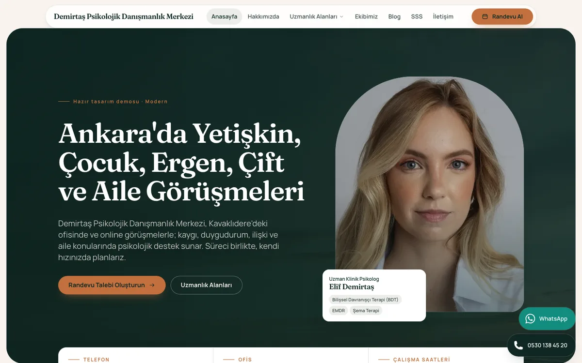 Modern teması: örnek danışmanlık merkezi sitesinin ana sayfası